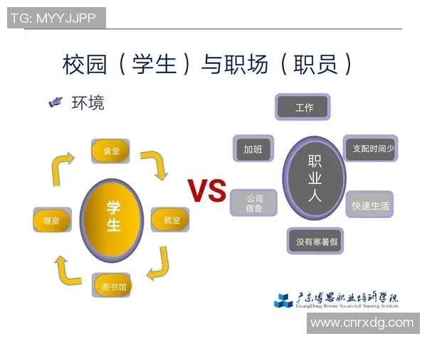 何思雨的成长之路与梦想追寻:从校园到职场的蜕变与挑战 何思雨的成长之路与梦想追寻:从校园到职场的蜕变与挑战